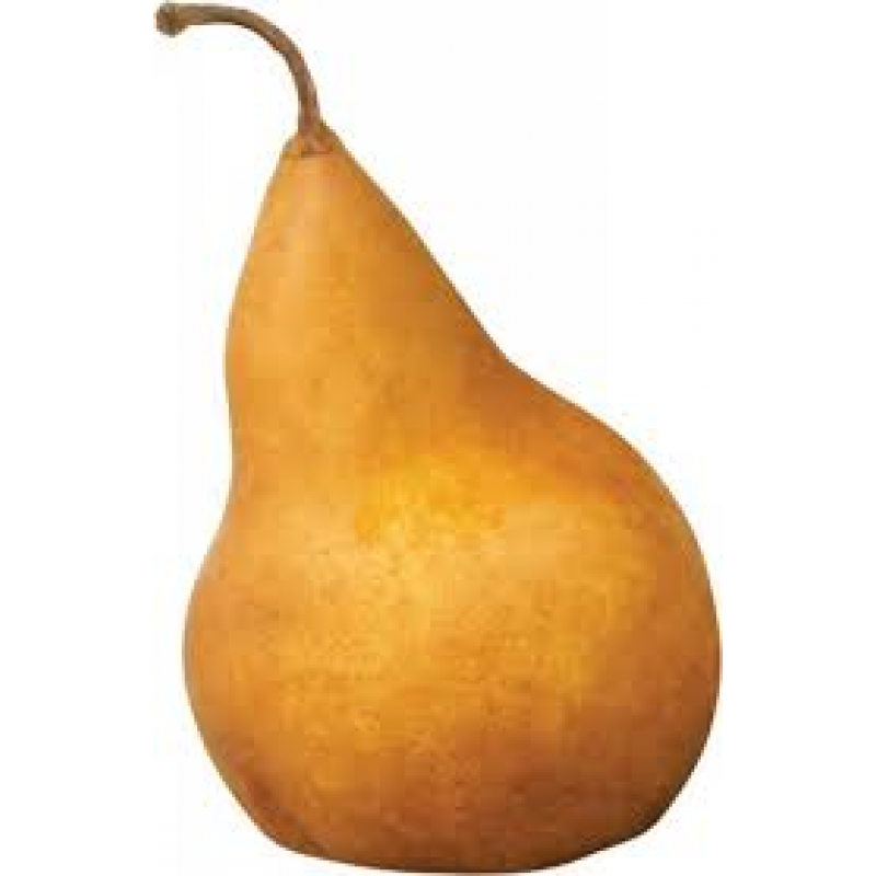 BOSC PEARS